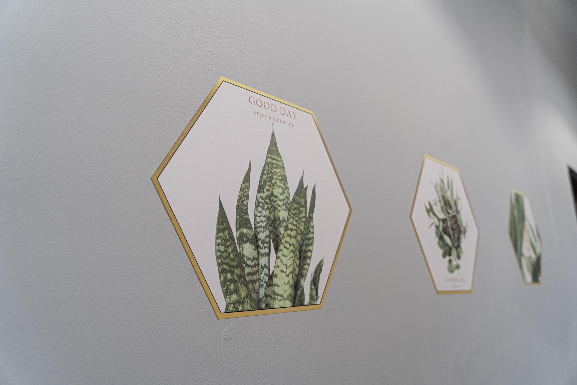 Nhà trọ Moni Gallery Singapore